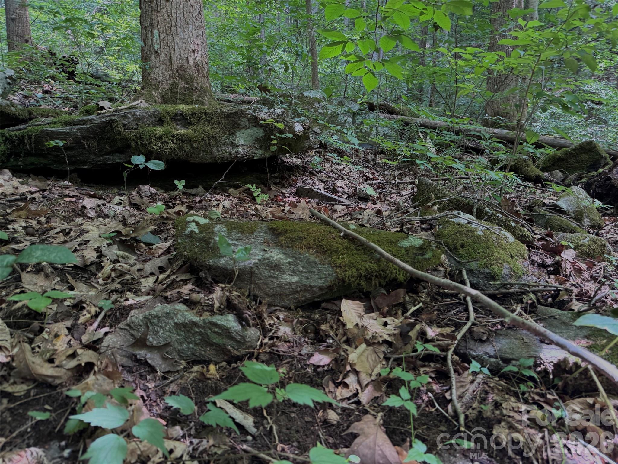 Tbd Paint Fork Road Property Photo 25