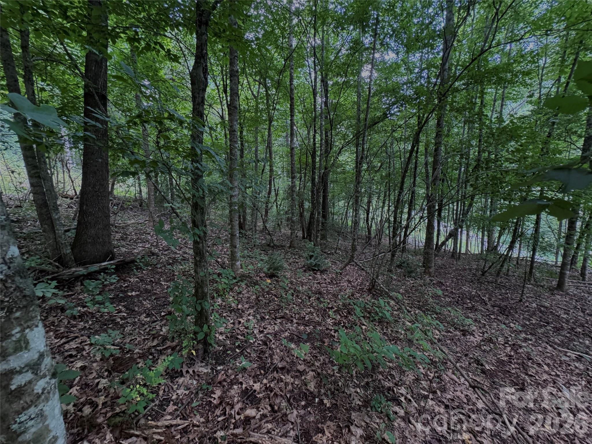 Tbd Paint Fork Road Property Photo 27