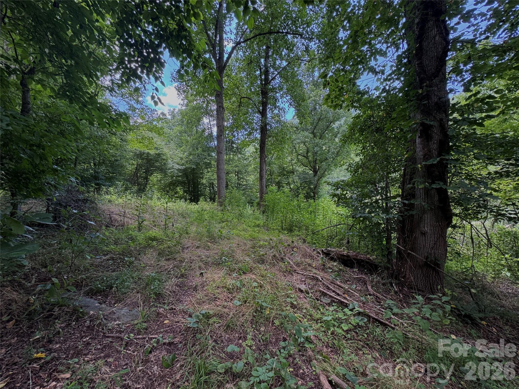 Tbd Paint Fork Road Property Photo 28