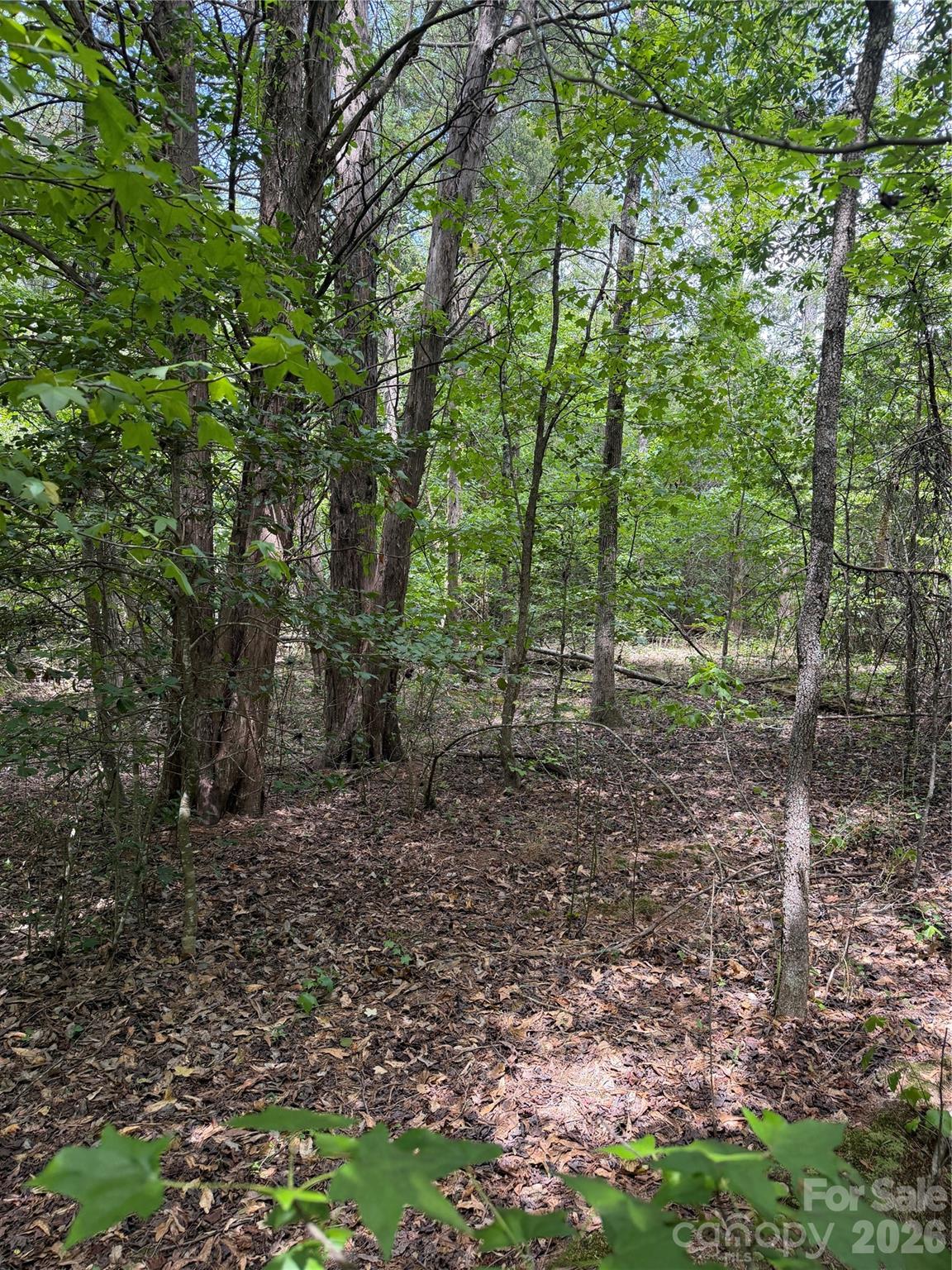 Tbd Sam Walker Road Property Photo 3
