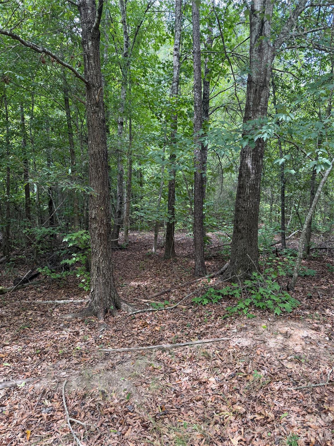 Tbd Sam Walker Road Property Photo 4