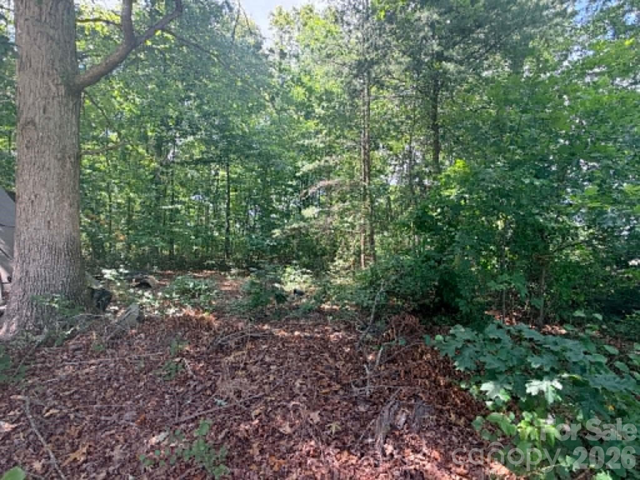 1663 Harris Henrietta Road Property Photo 13