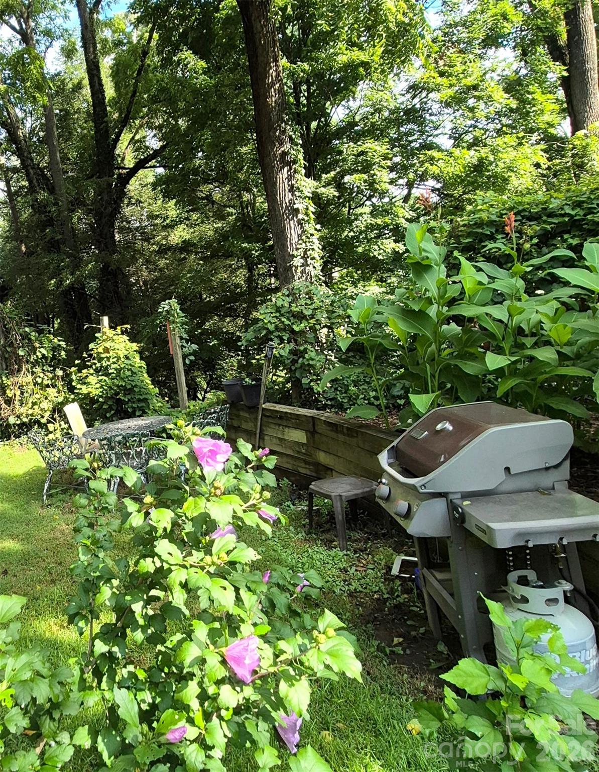 41 Panola Street Property Photo 13