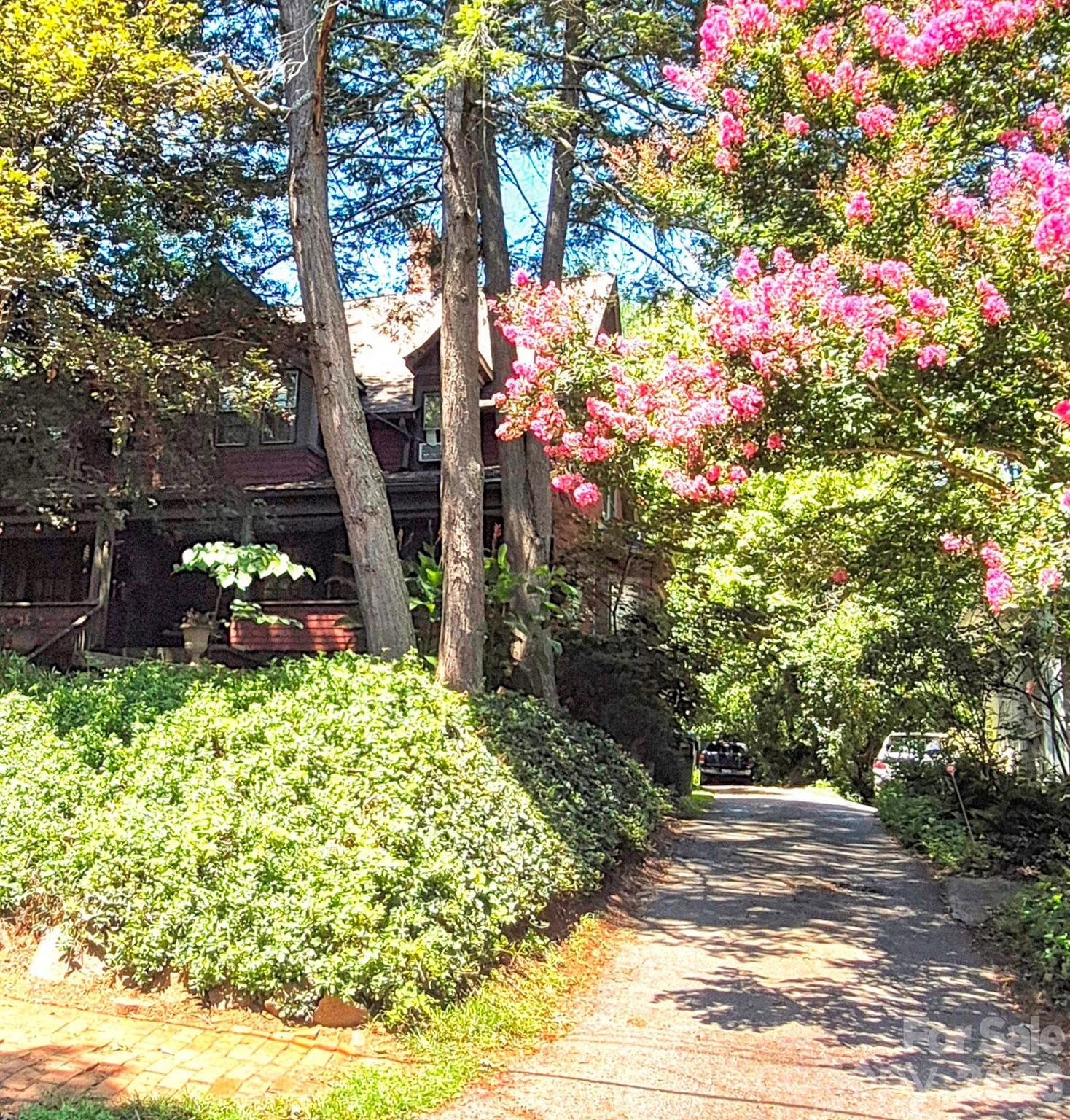 41 Panola Street Property Photo 17