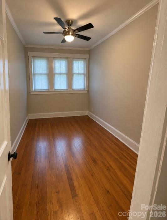 41 Panola Street Property Photo 22