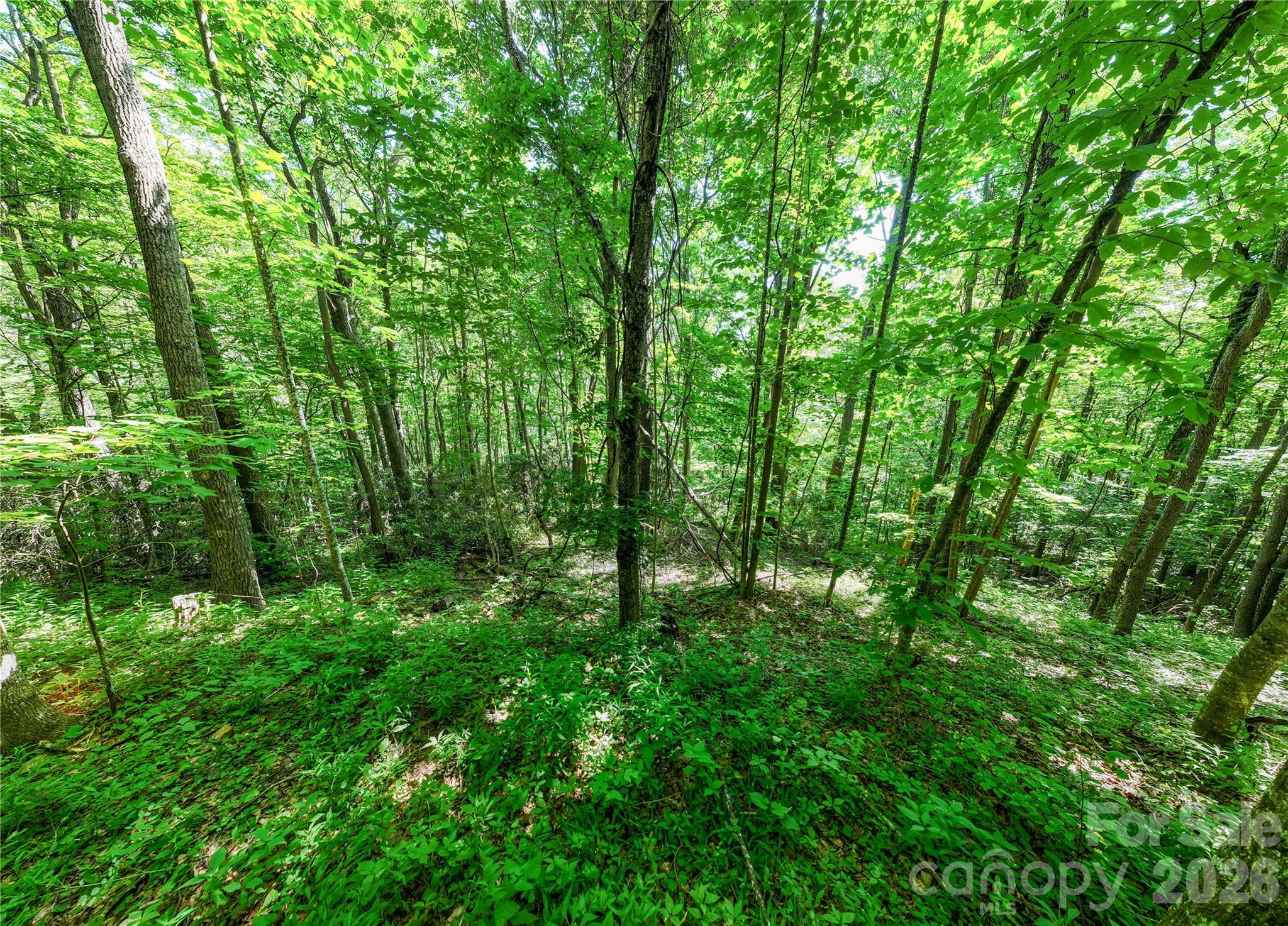 8 White Birch Court 424 Property Photo 13