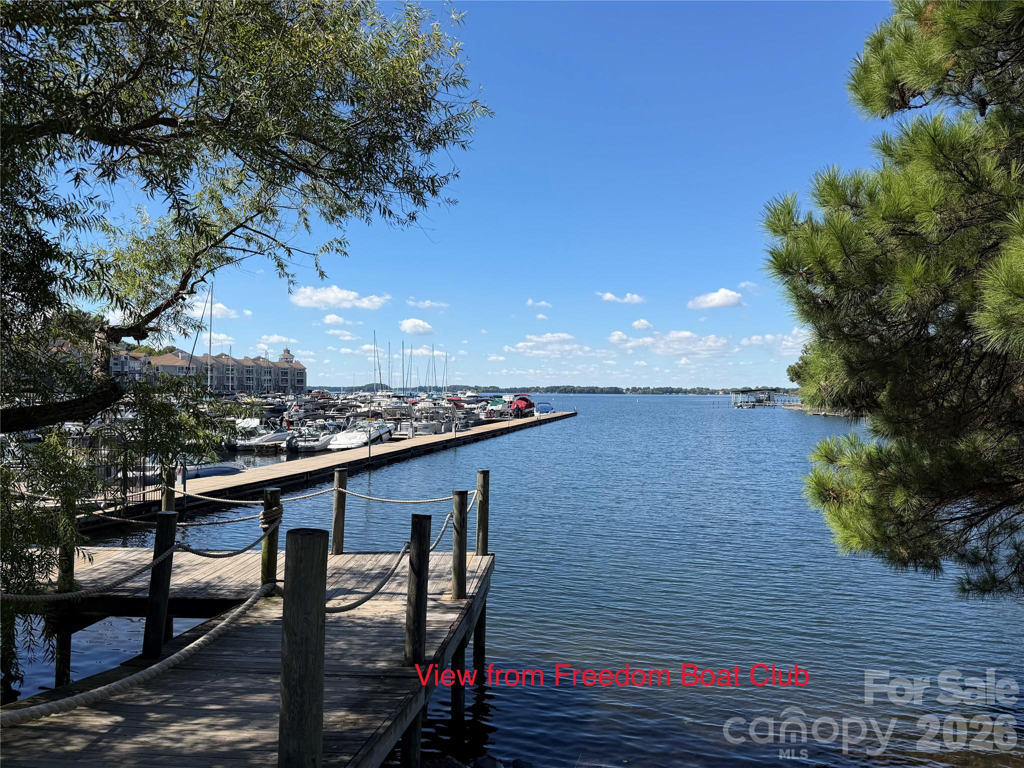 17205 Asti Court Property Photo 21