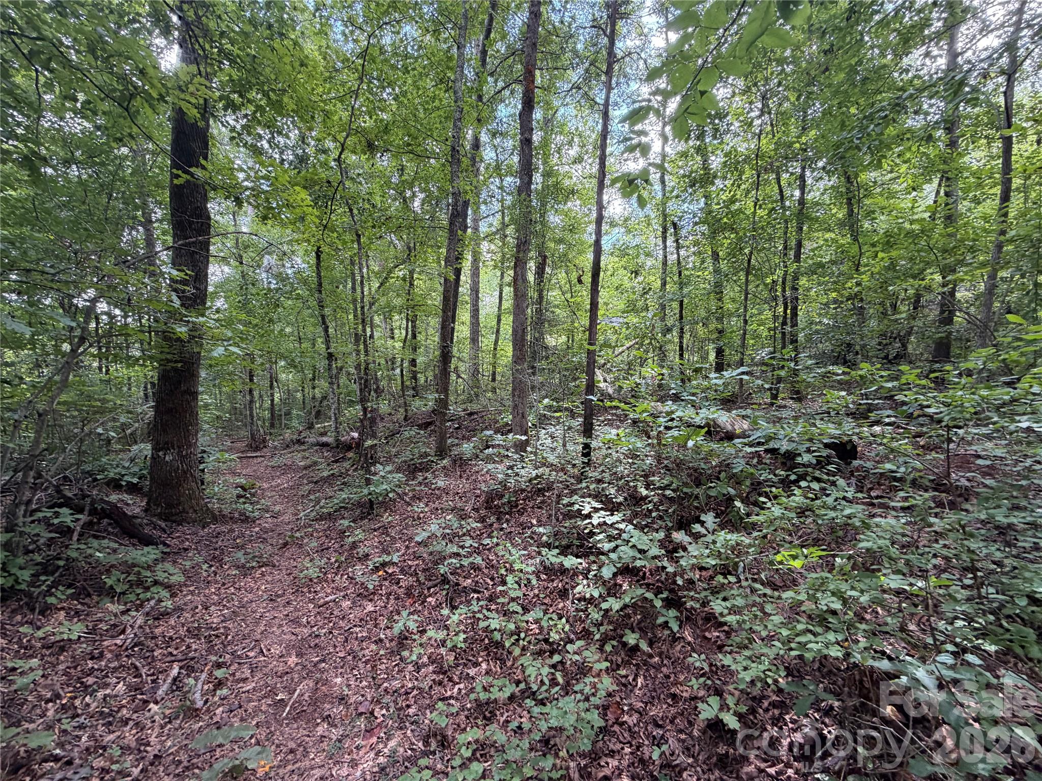 0 Spindale Street Property Photo 10