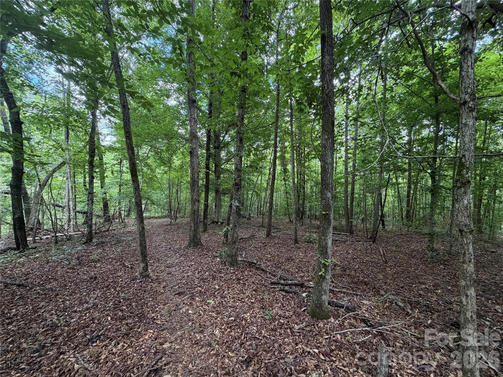 0 Spindale Street Property Photo 12