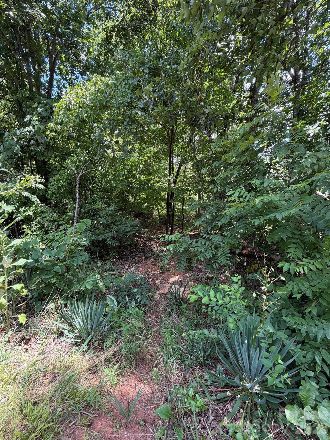 0 Spindale Street Property Photo 14