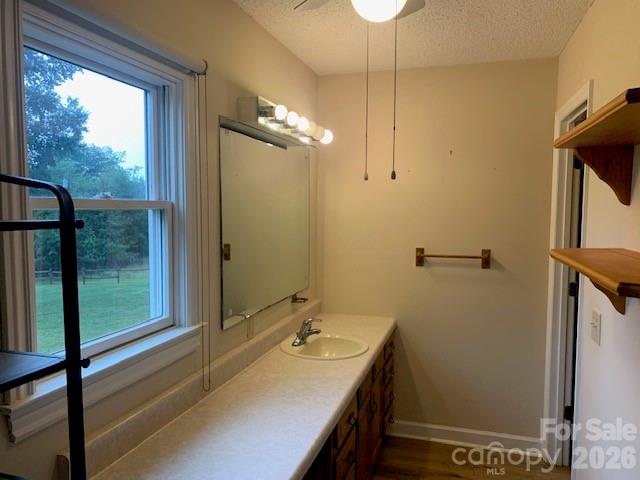 189 Valet Court Property Photo 31