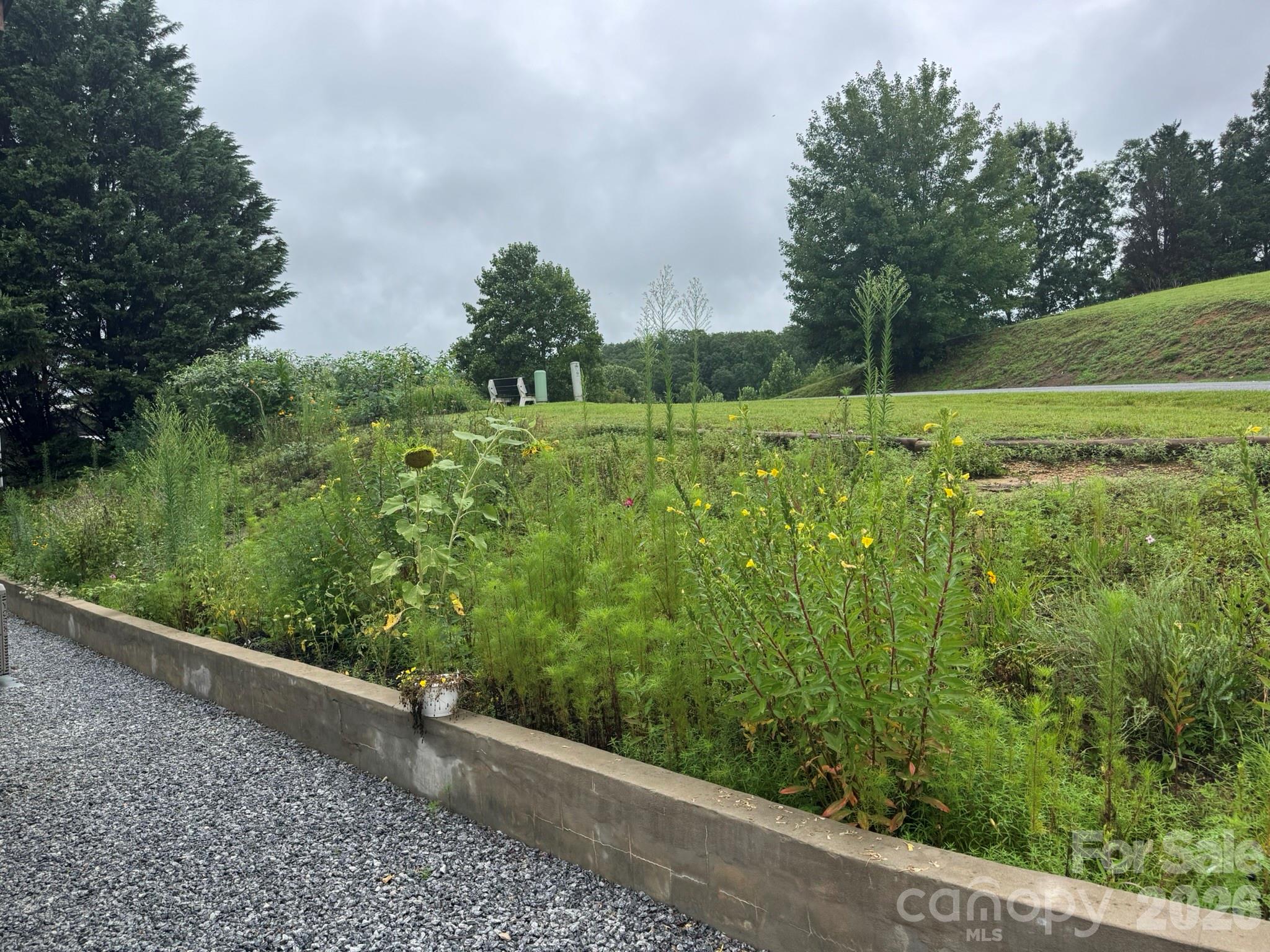 213 Sandy Creek Court Property Photo 12