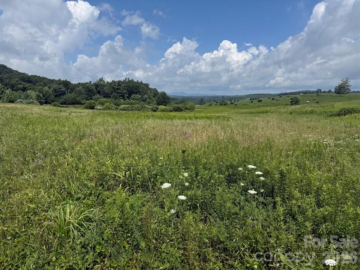 Tbd Blue Ridge Estates Property Photo 1