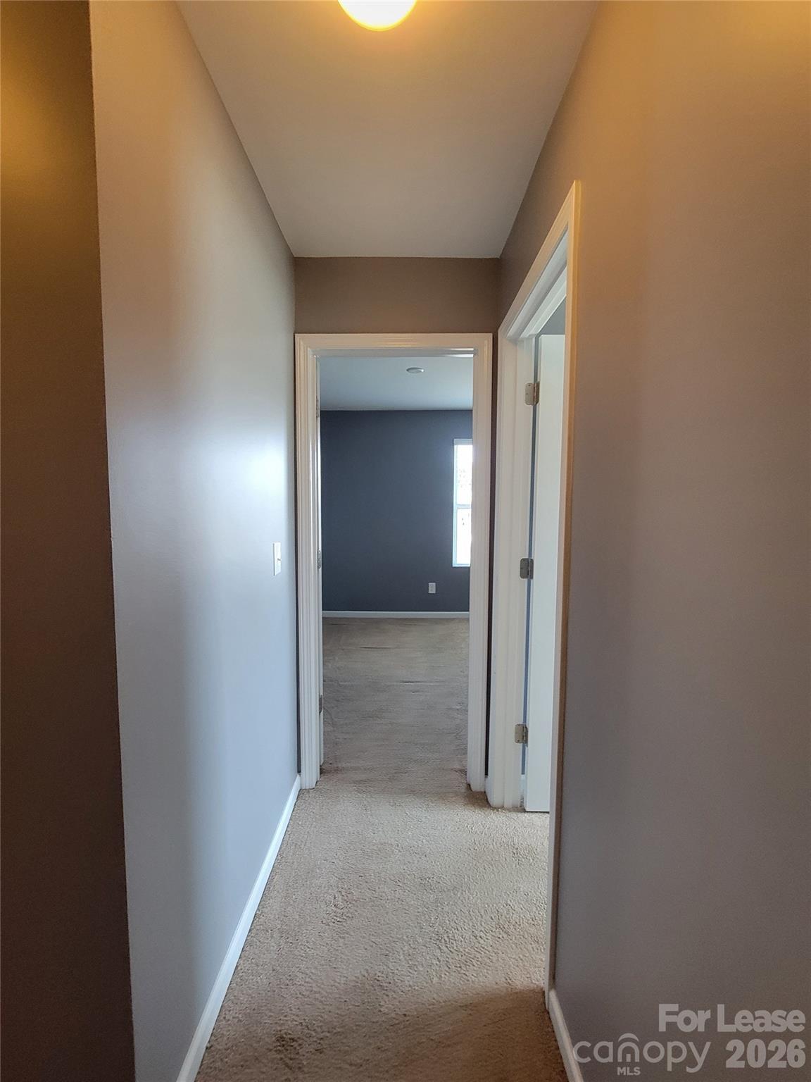 1349 Haestad Court Property Photo 7