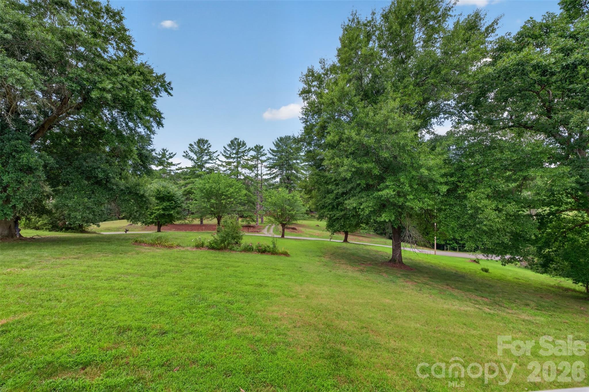 147 B And S Lane Property Photo 18
