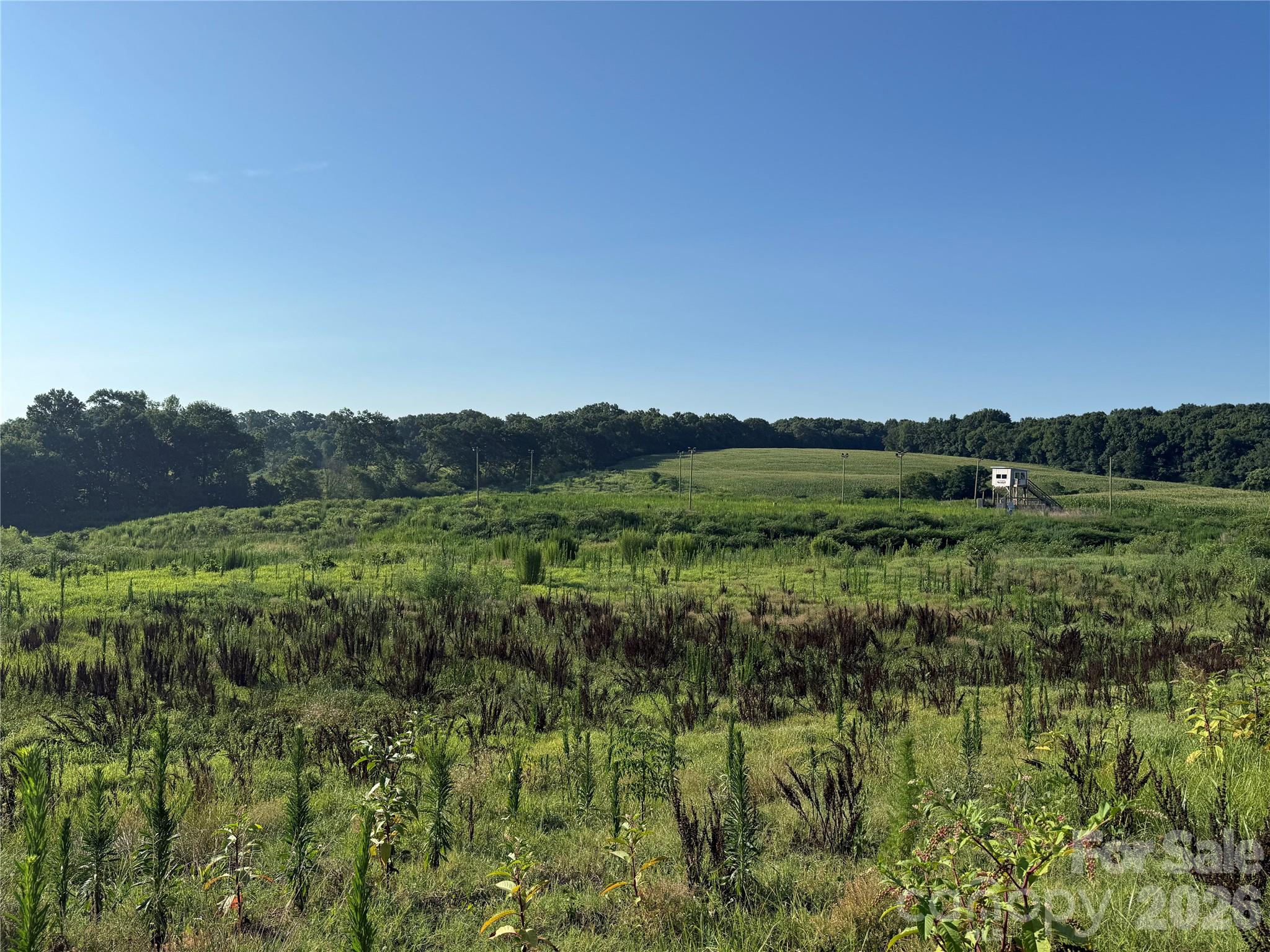 1611 Olive Branch Road Property Photo 4