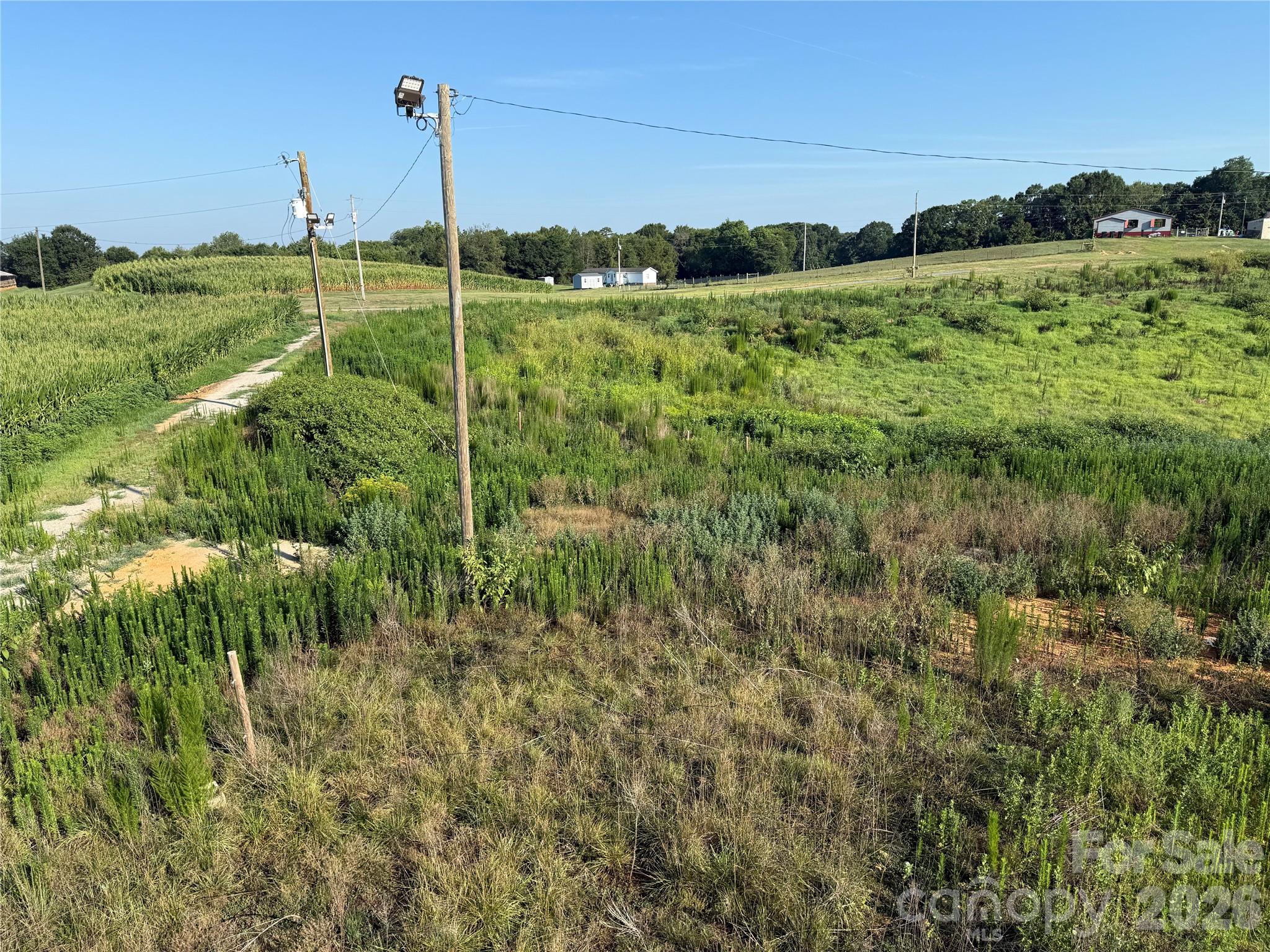 1611 Olive Branch Road Property Photo 6