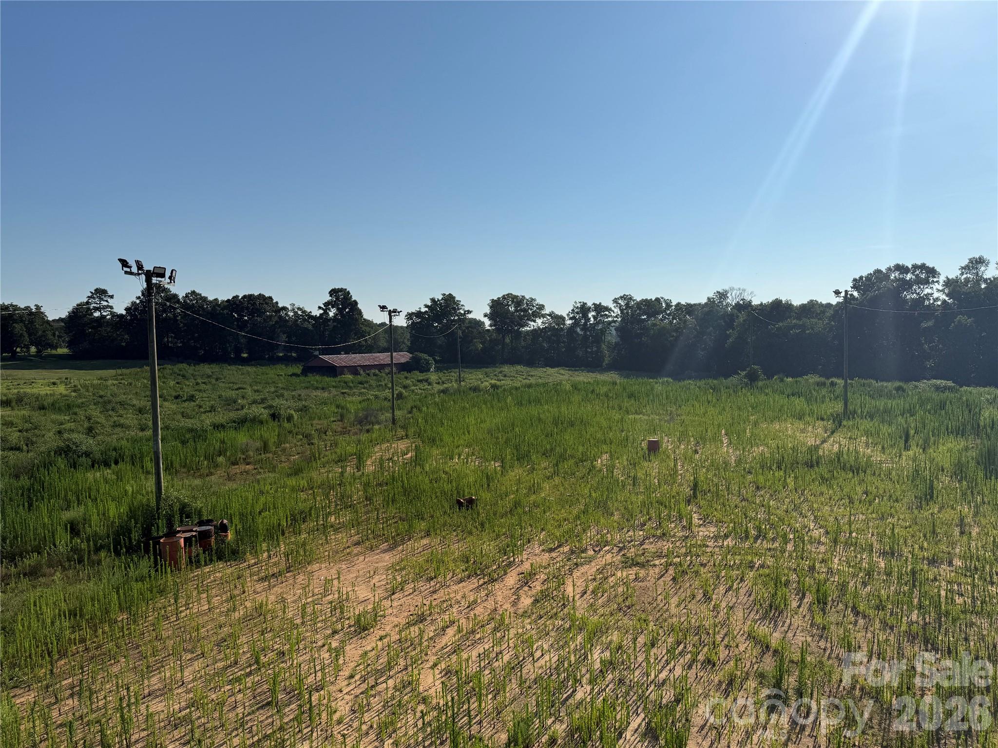1611 Olive Branch Road Property Photo 7