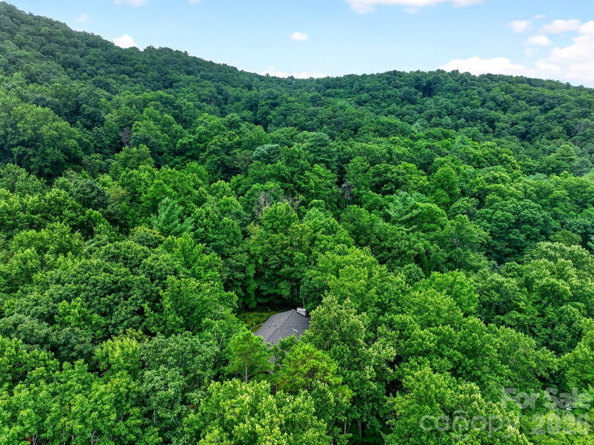 12 Beech Tree Lane Property Photo 27