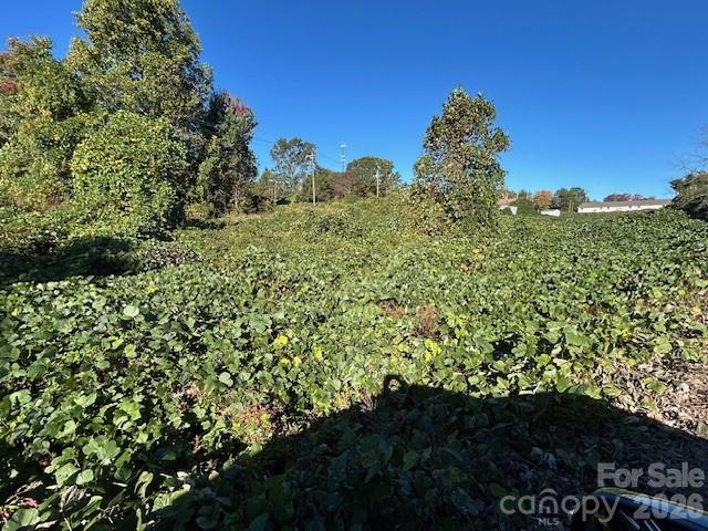 0 Oakland Heights Road Property Photo 13