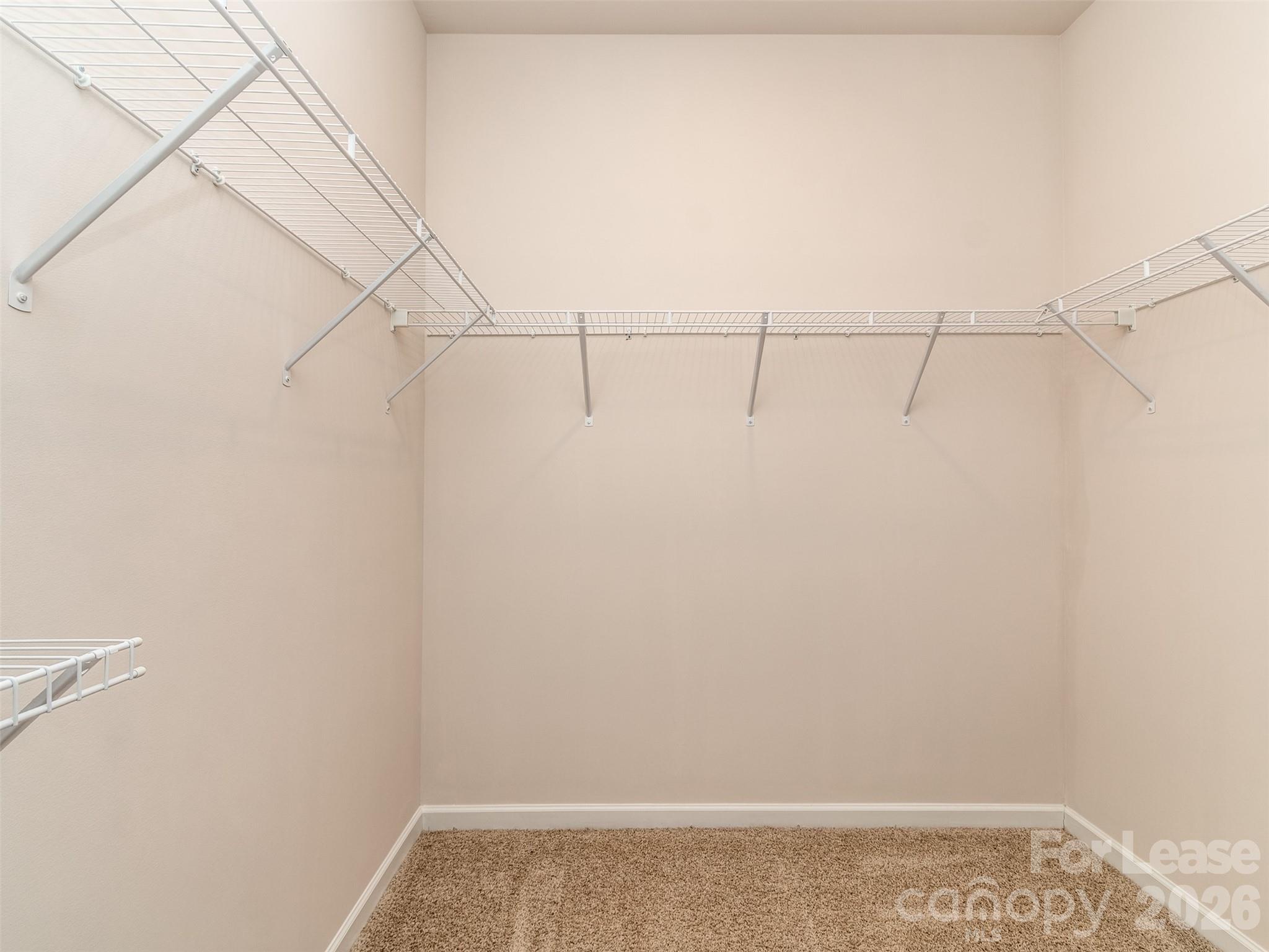 9073 Remnick Drive Property Photo 22
