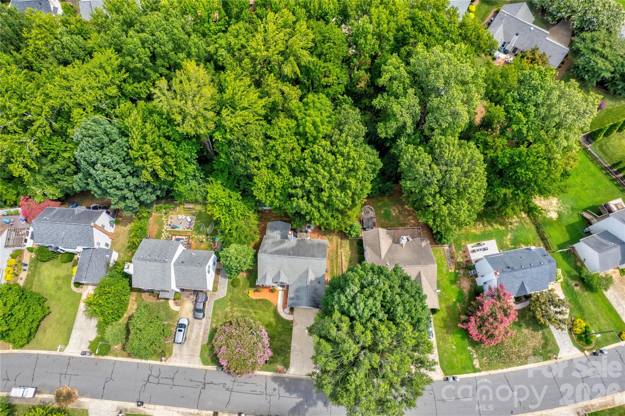 3688 Lake Spring Avenue Property Photo 4