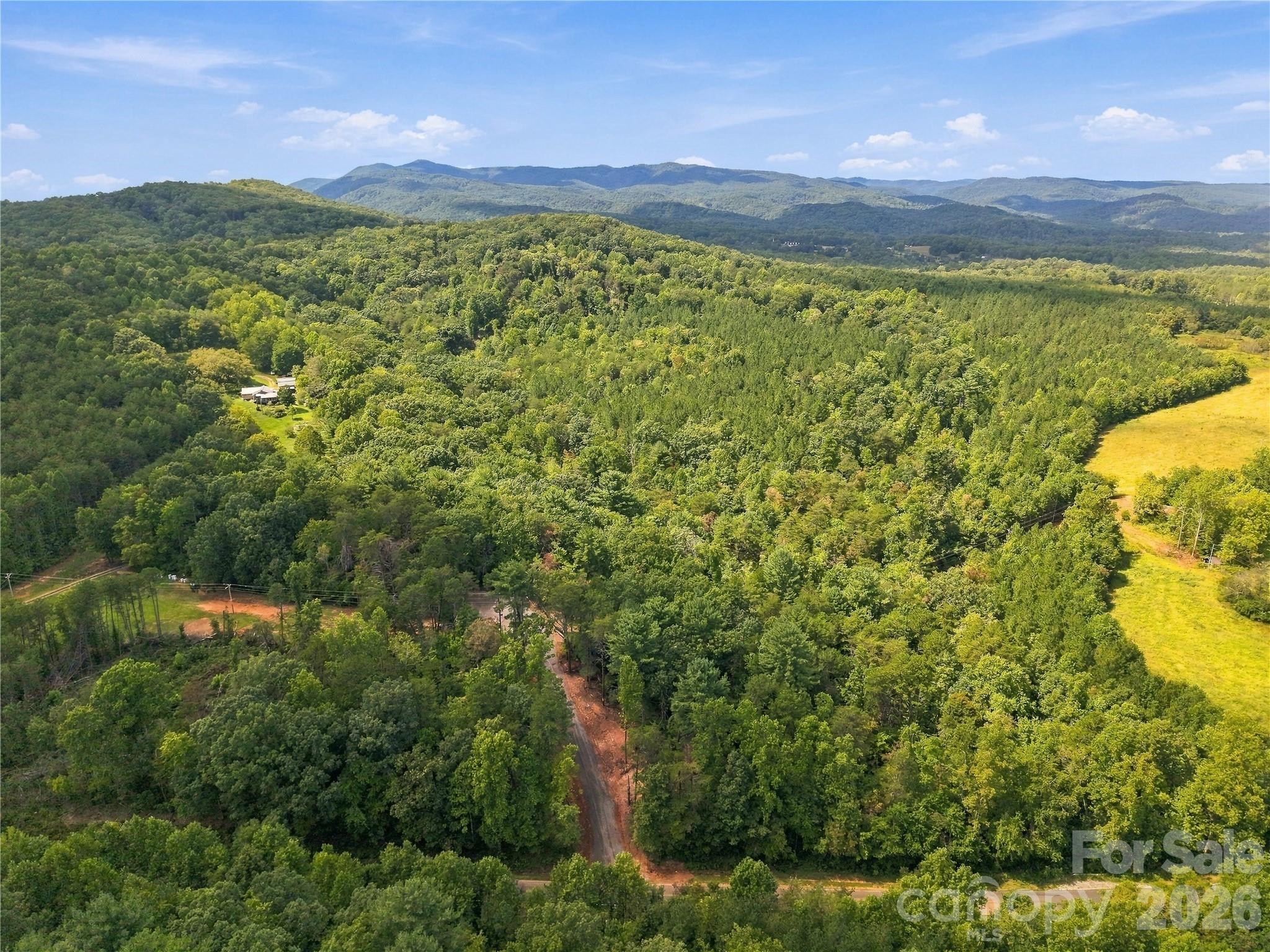 Tbd Gus Peeler Road 1 Property Photo 10