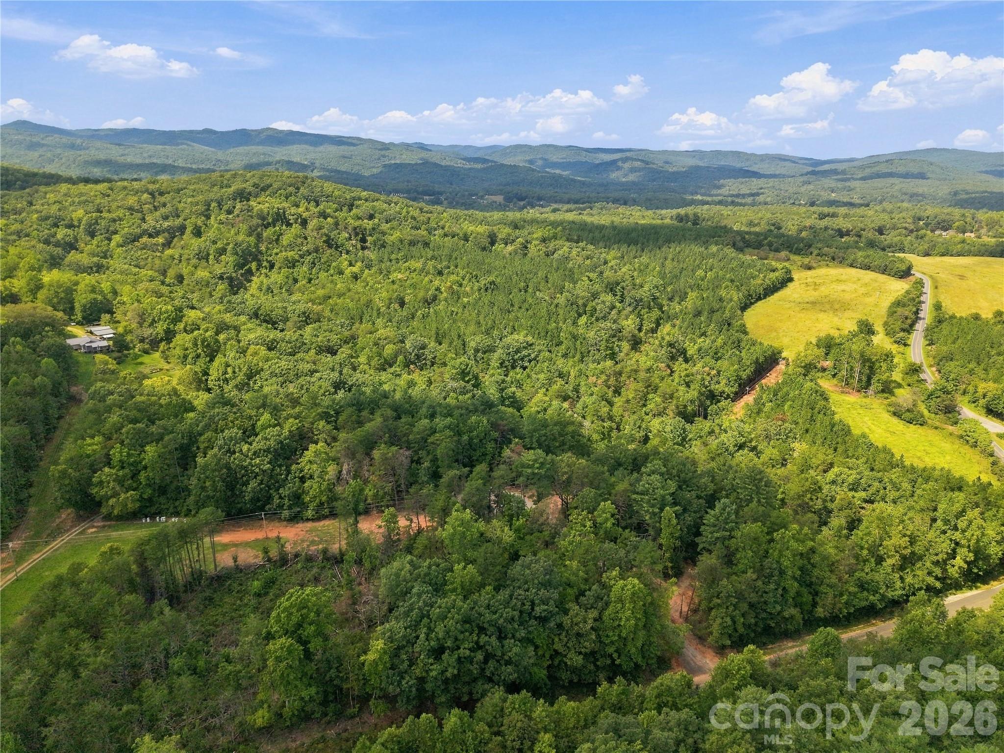 Tbd Gus Peeler Road 1 Property Photo 11