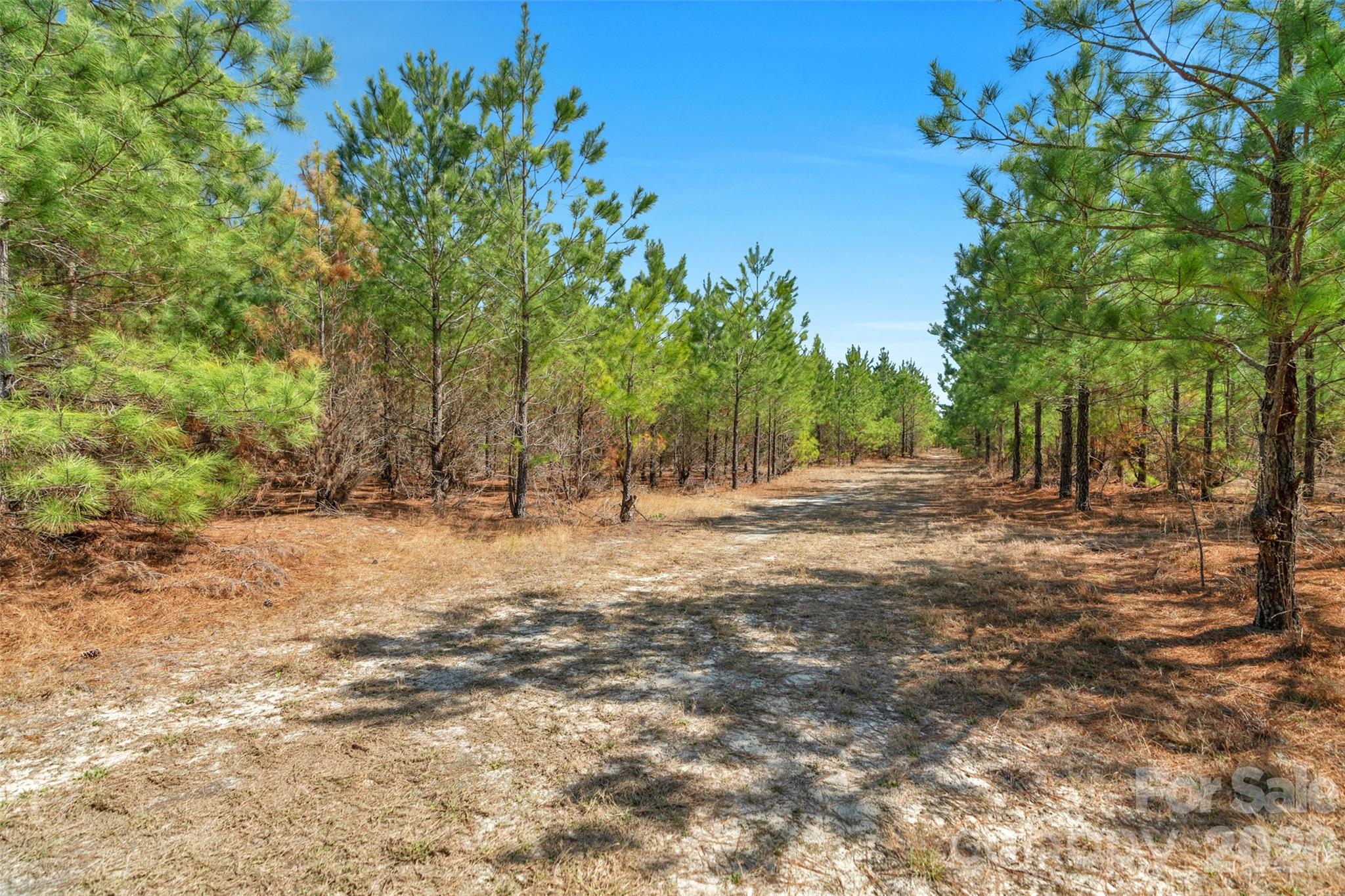 931 Charlie Johnson Road 4 Property Photo 17