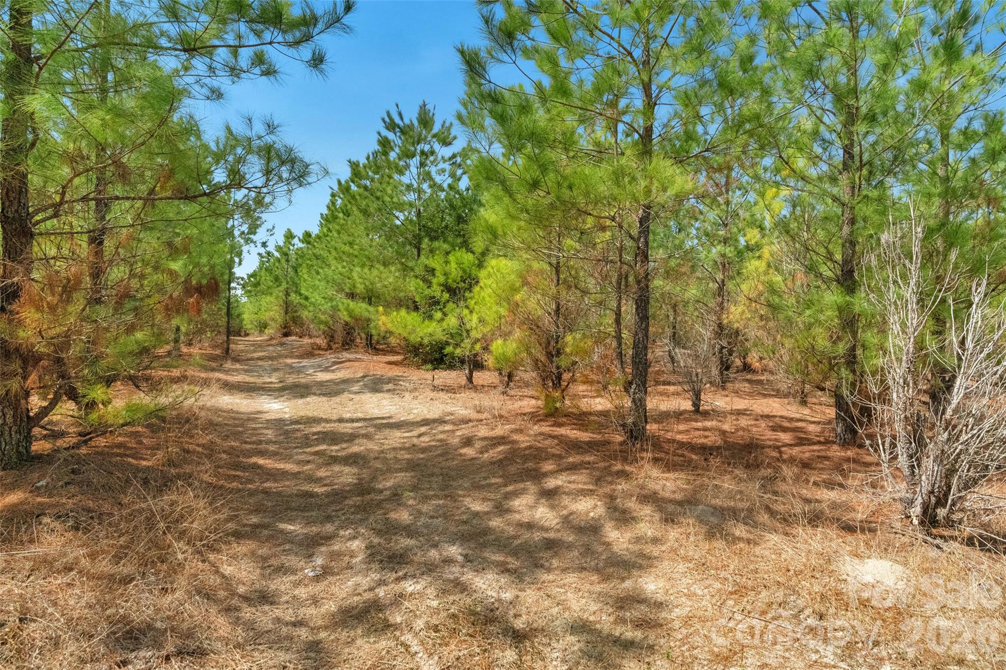 931 Charlie Johnson Road 4 Property Photo 26