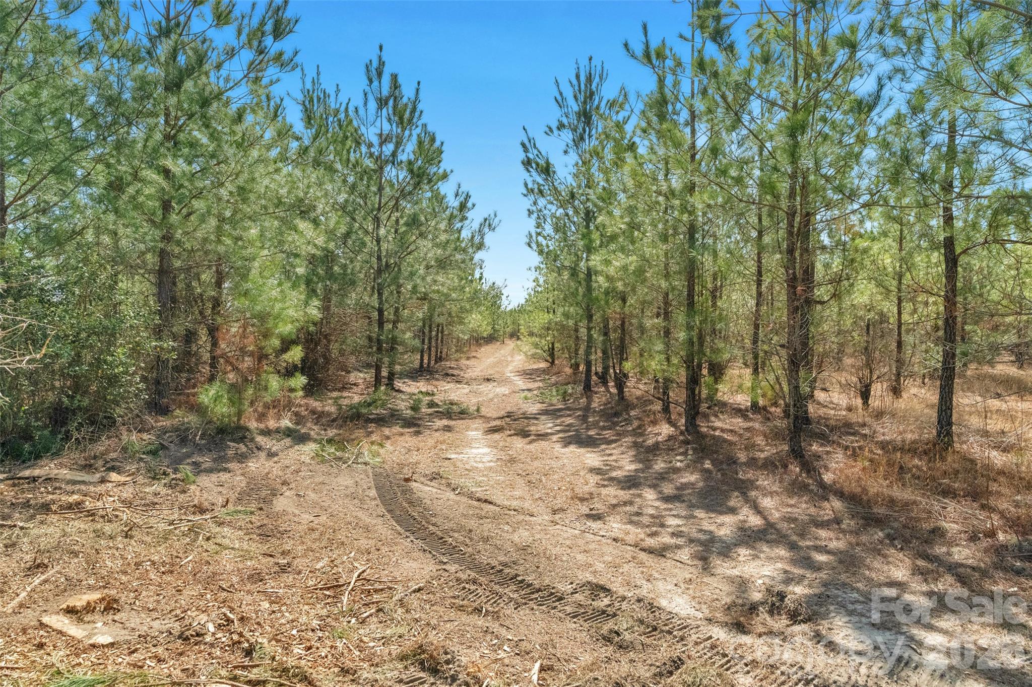 931 Charlie Johnson Road 4 Property Photo 35