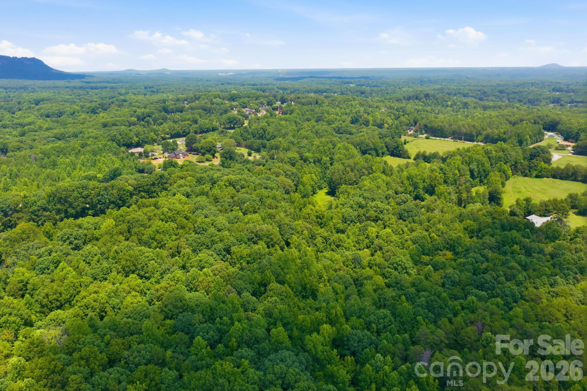000 Freedom Mill Road Property Photo 3