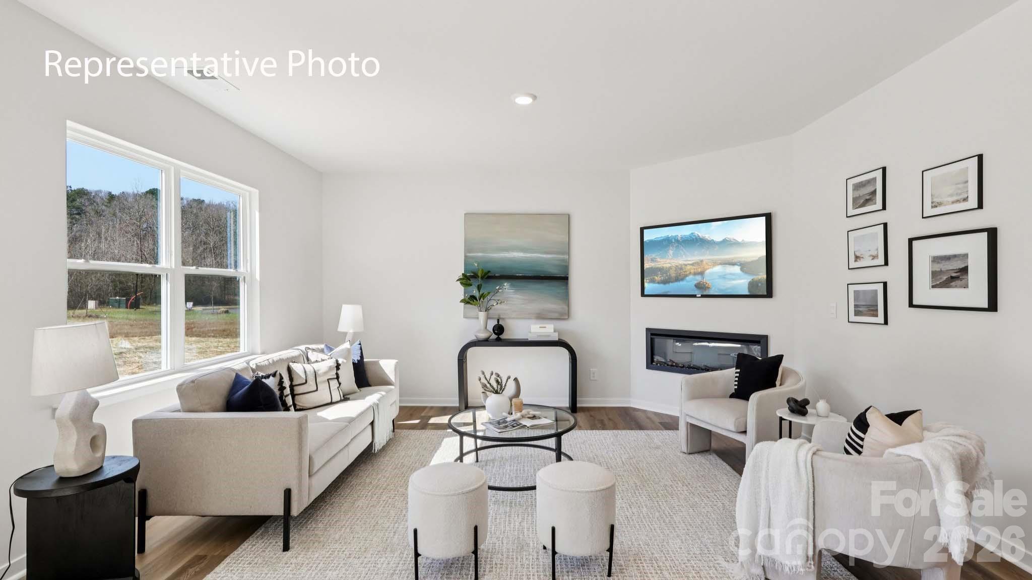 466 Dazzle Loop Property Photo 3