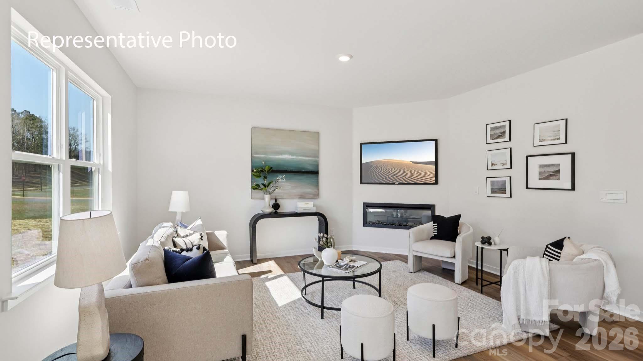 466 Dazzle Loop Property Photo 4