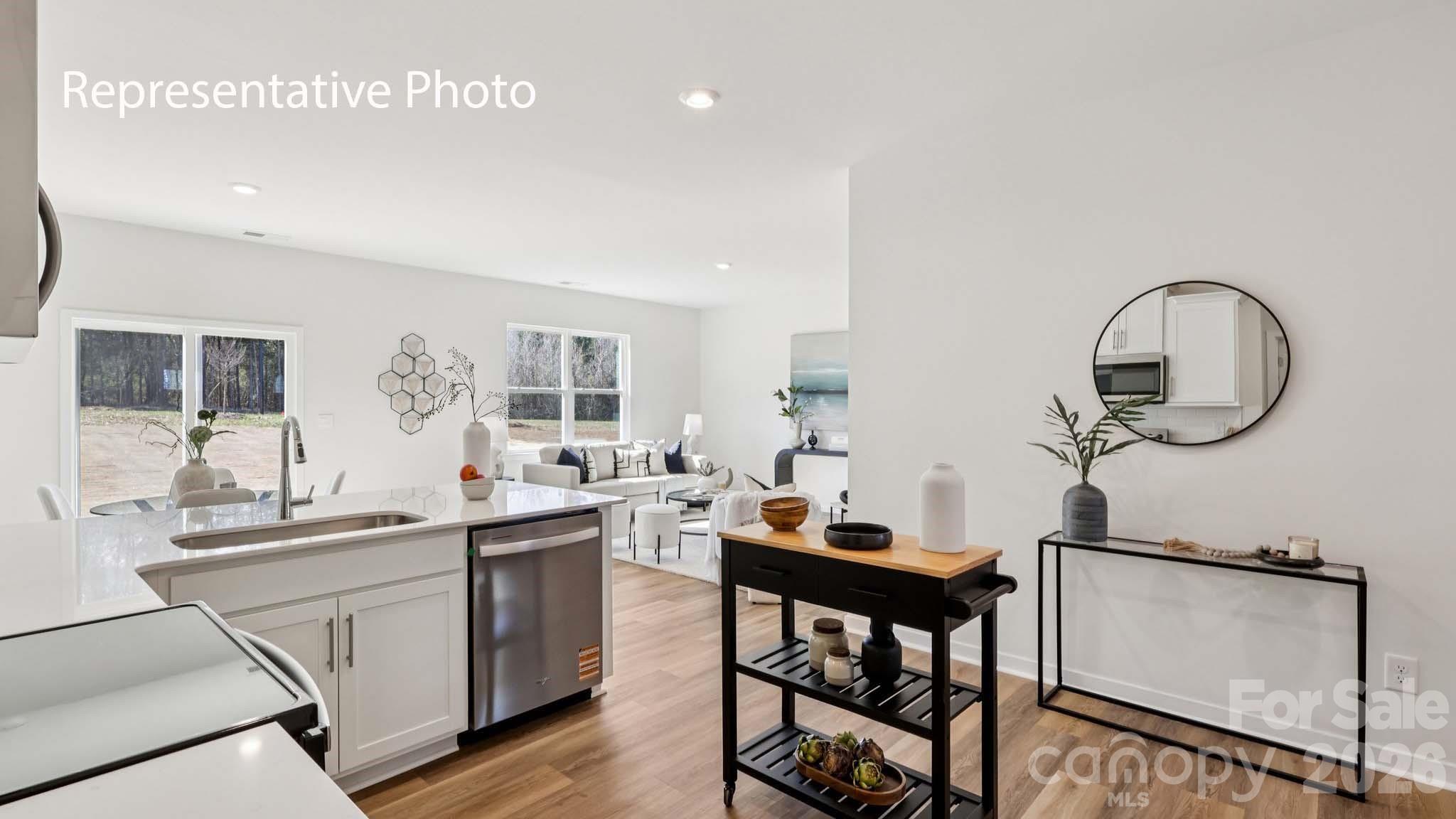466 Dazzle Loop Property Photo 16