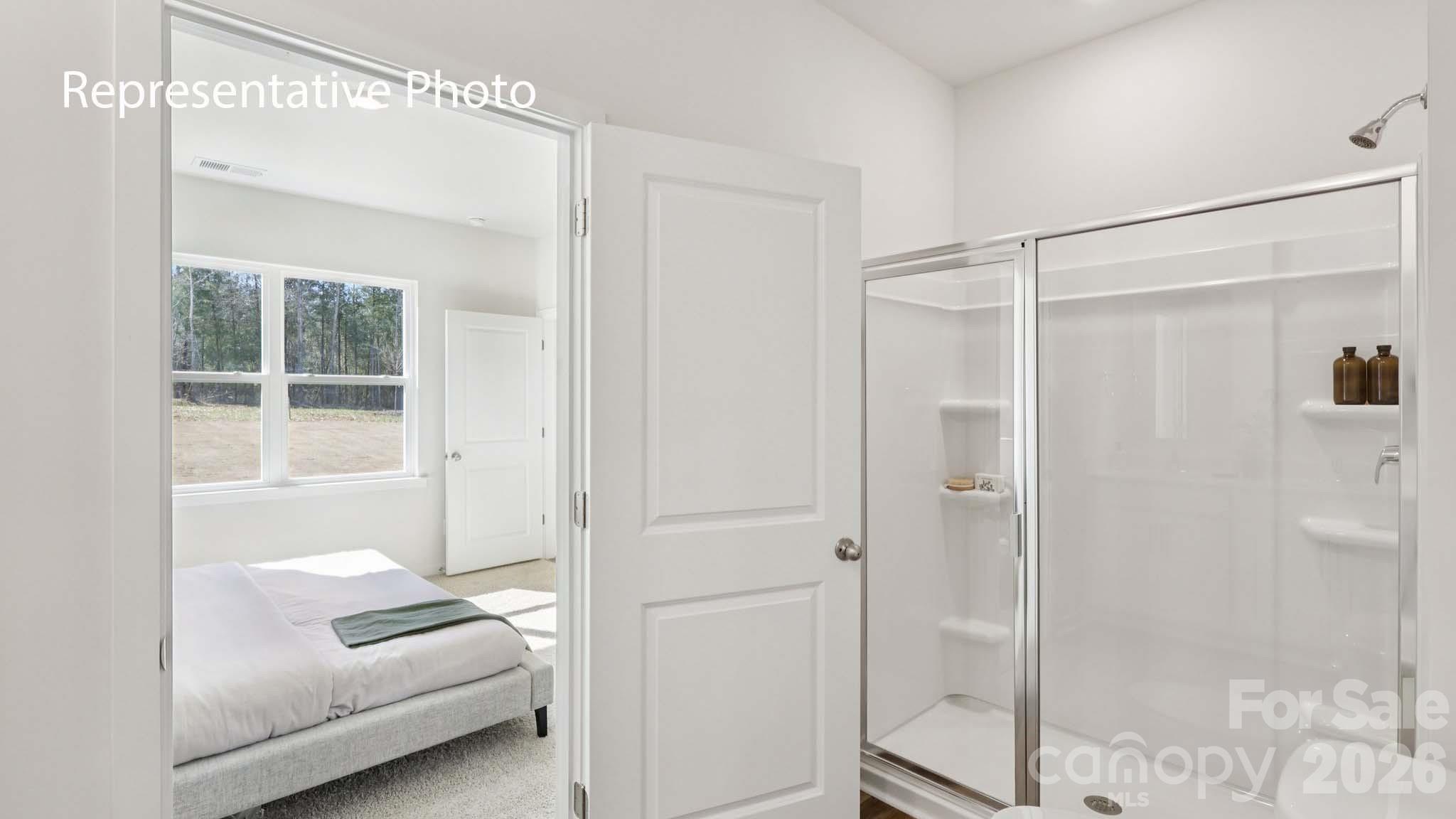 466 Dazzle Loop Property Photo 27