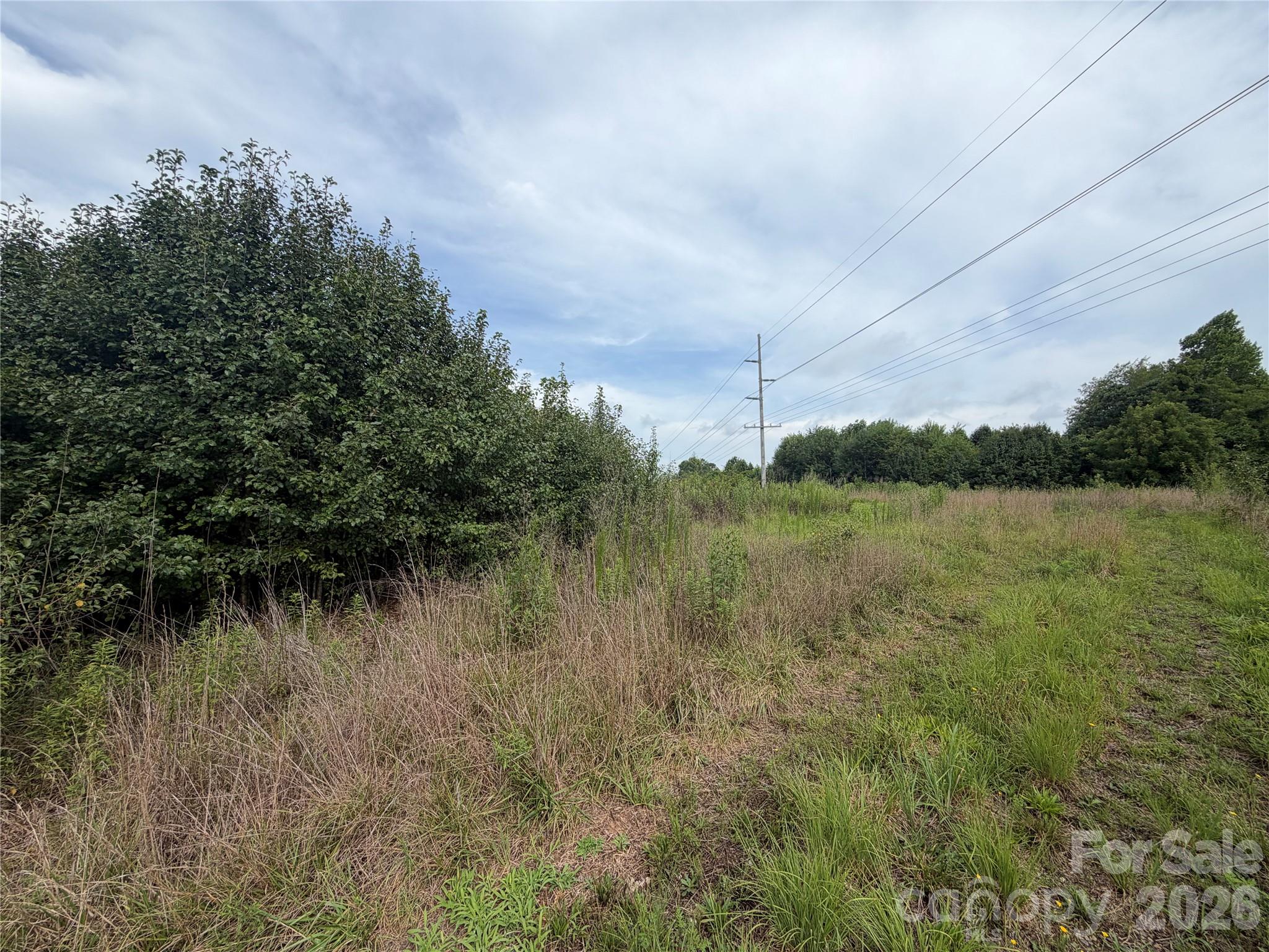 904 Jamestown Road Property Photo 3
