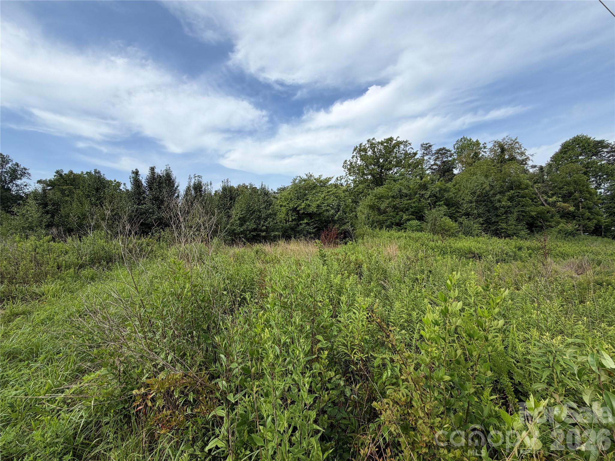 904 Jamestown Road Property Photo 5