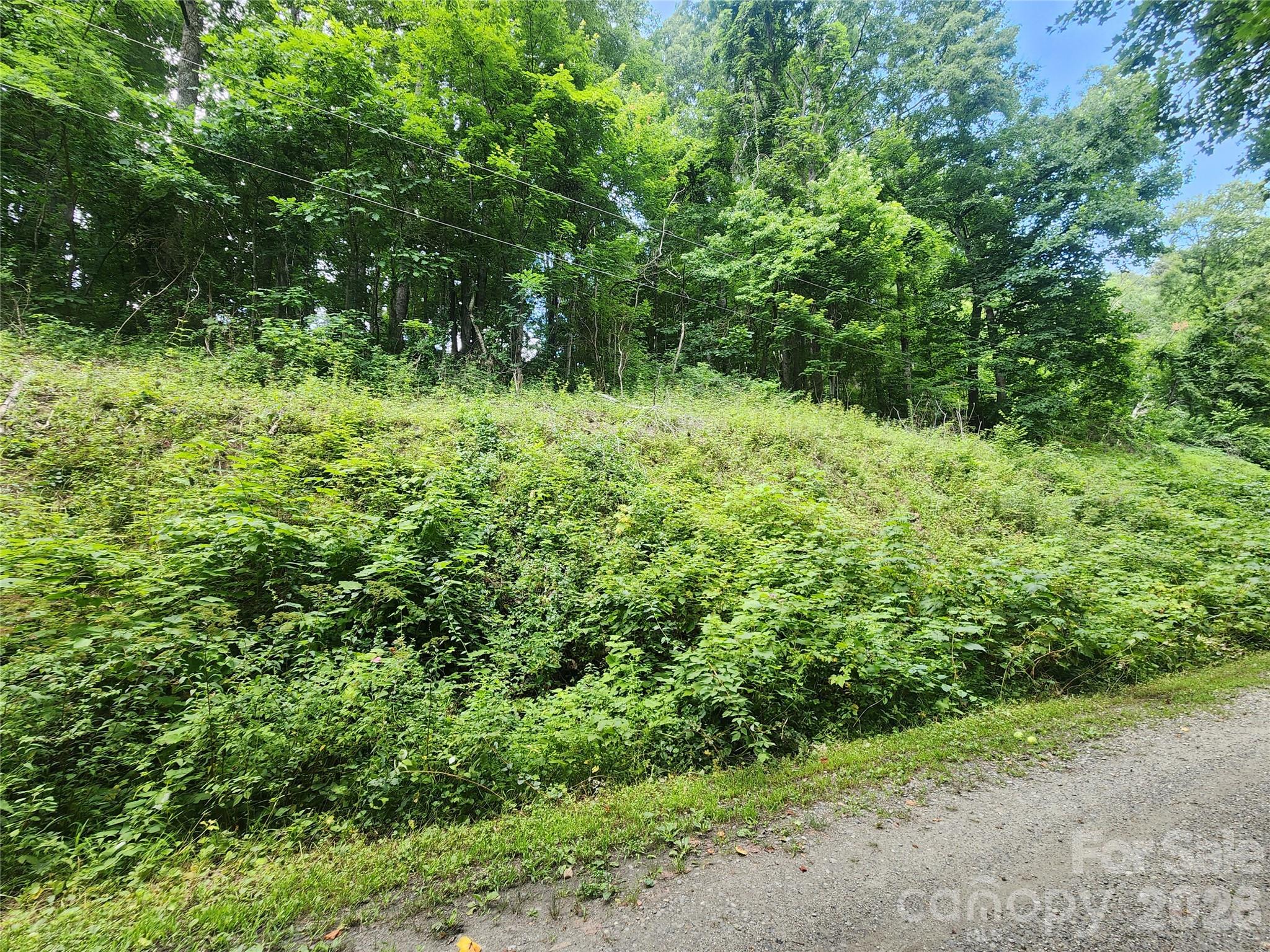 000 Jacks Knob Road Property Photo 1