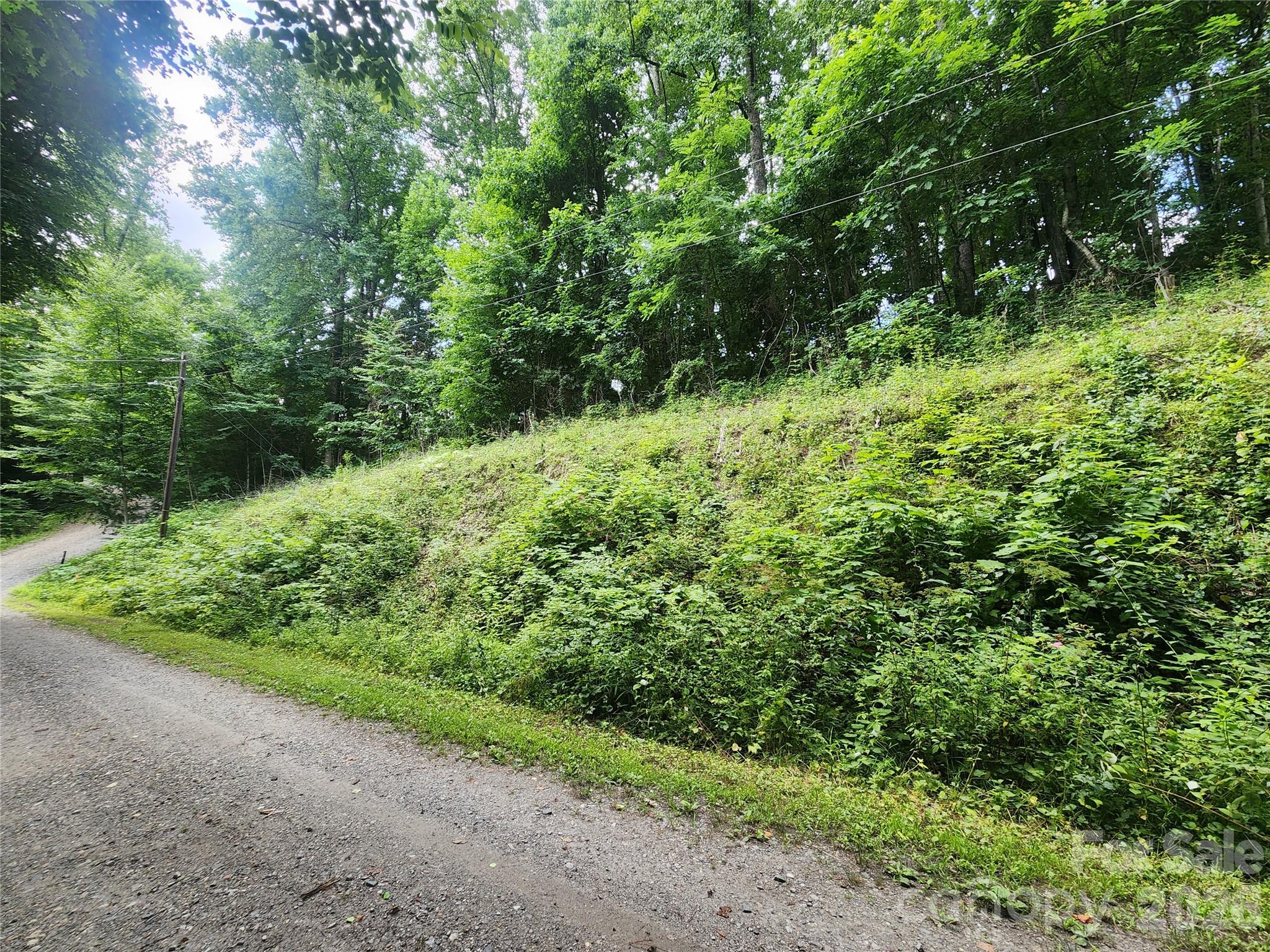 000 Jacks Knob Road Property Photo 3