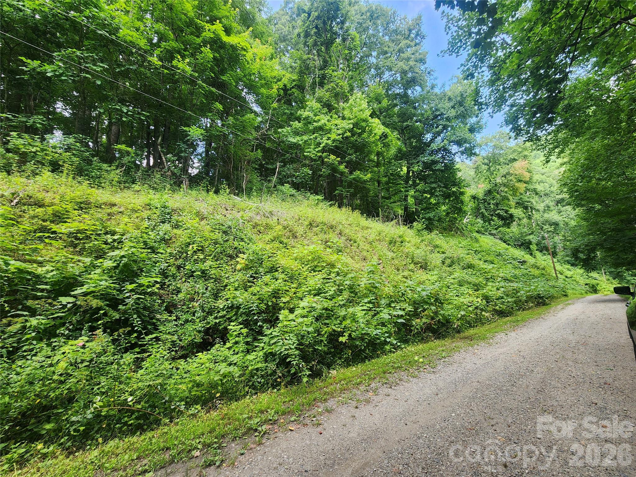 000 Jacks Knob Road Property Photo 4