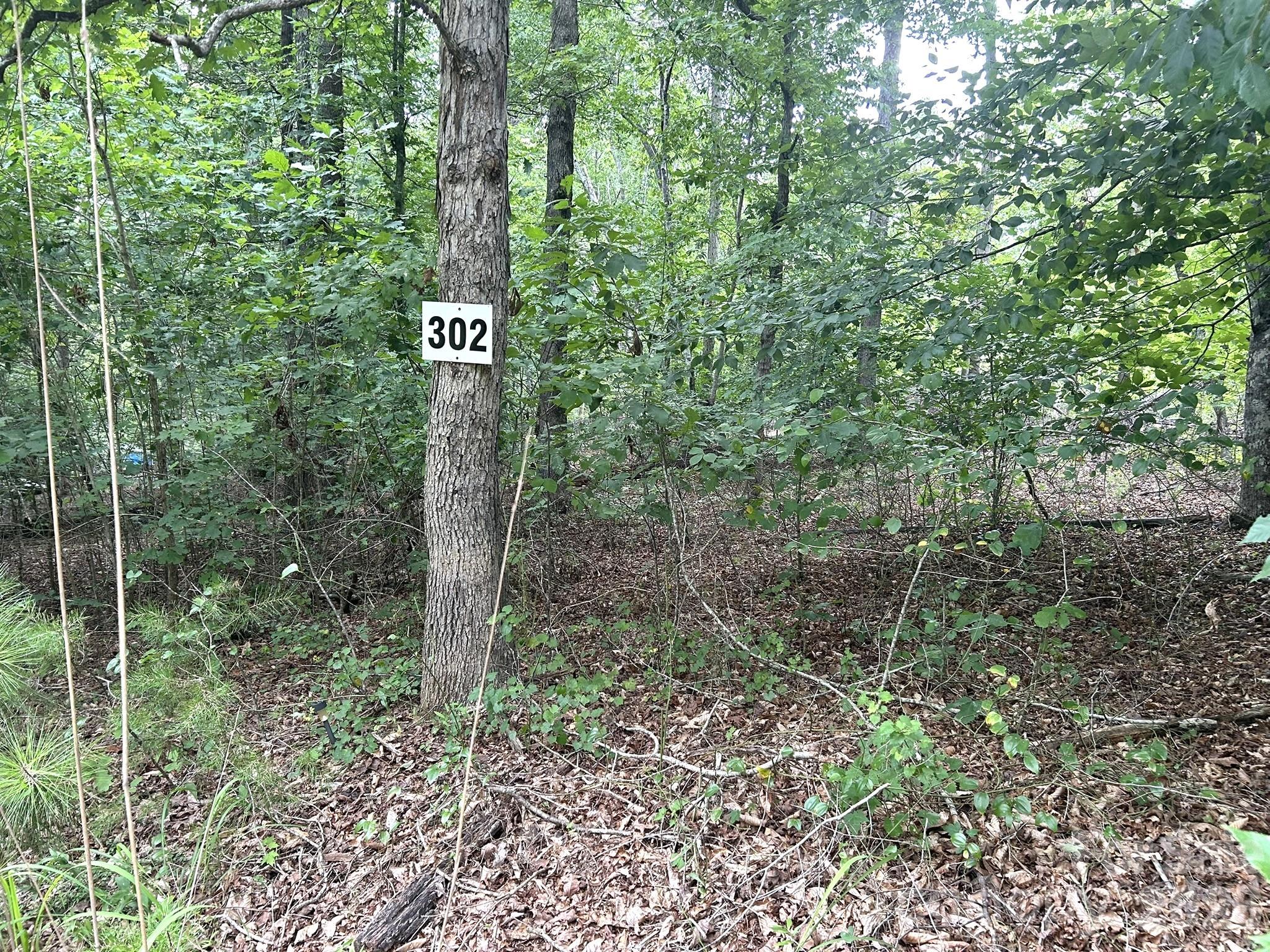 00 Bitteroot Circle 302 Property Photo 1