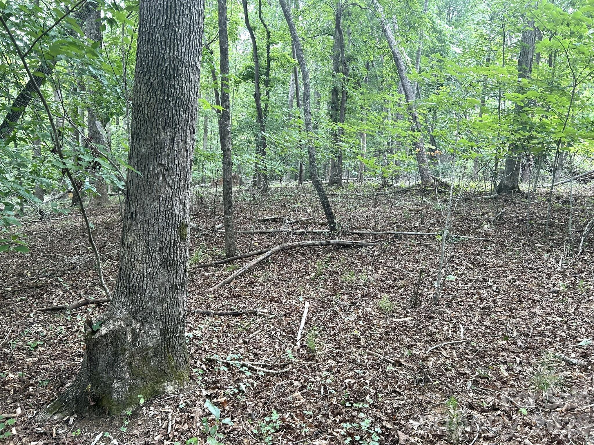 00 Bitteroot Circle 302 Property Photo 2