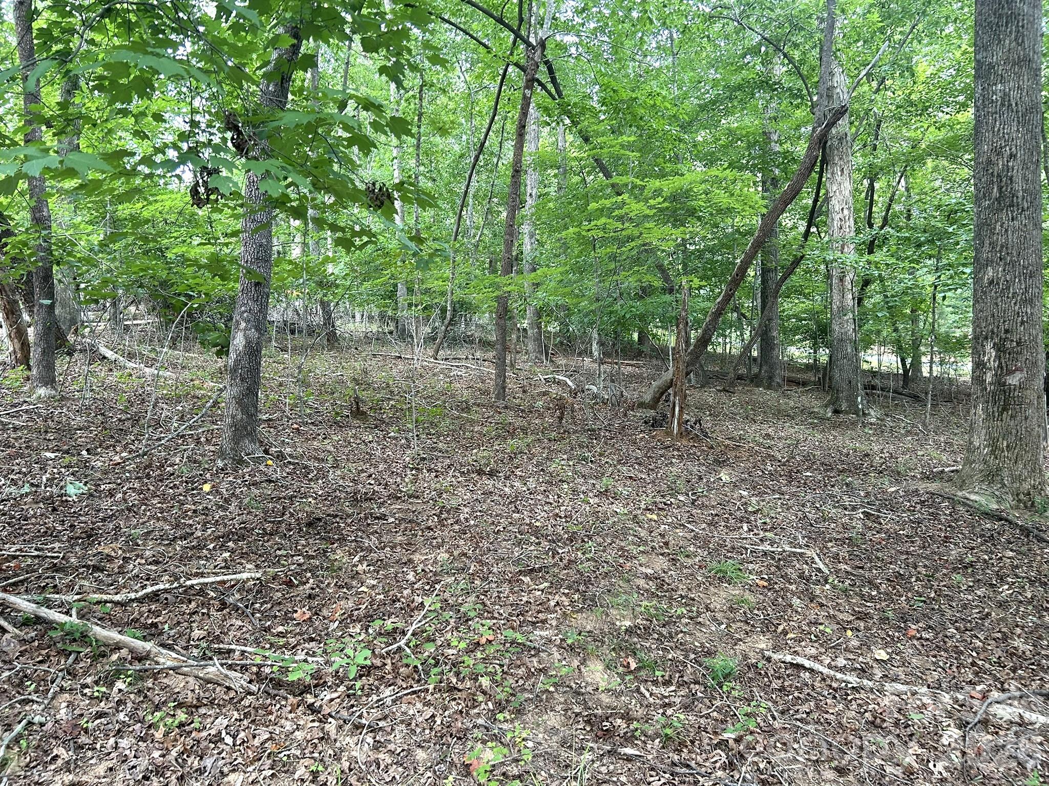 00 Bitteroot Circle 302 Property Photo 3