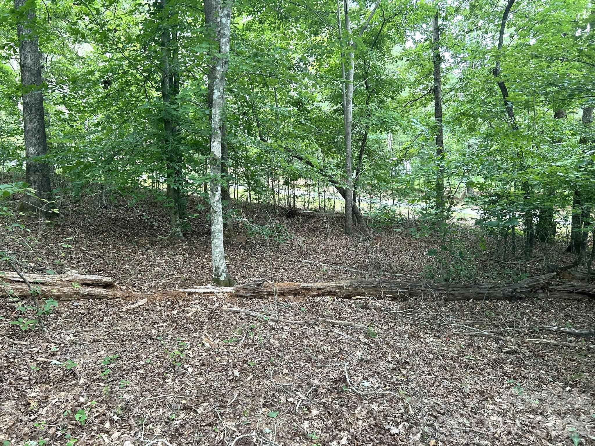 00 Bitteroot Circle 302 Property Photo 6