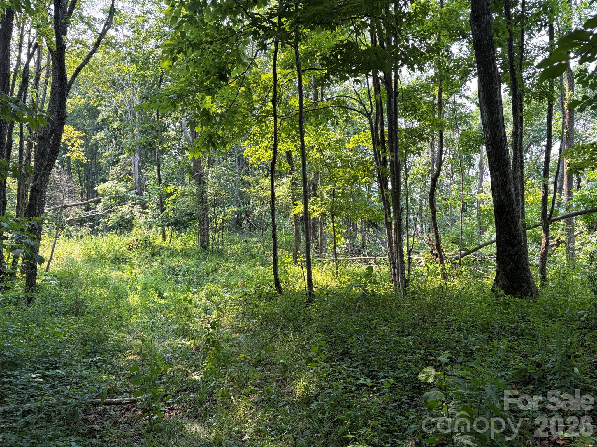 000 Catbrier Lane Property Photo 13