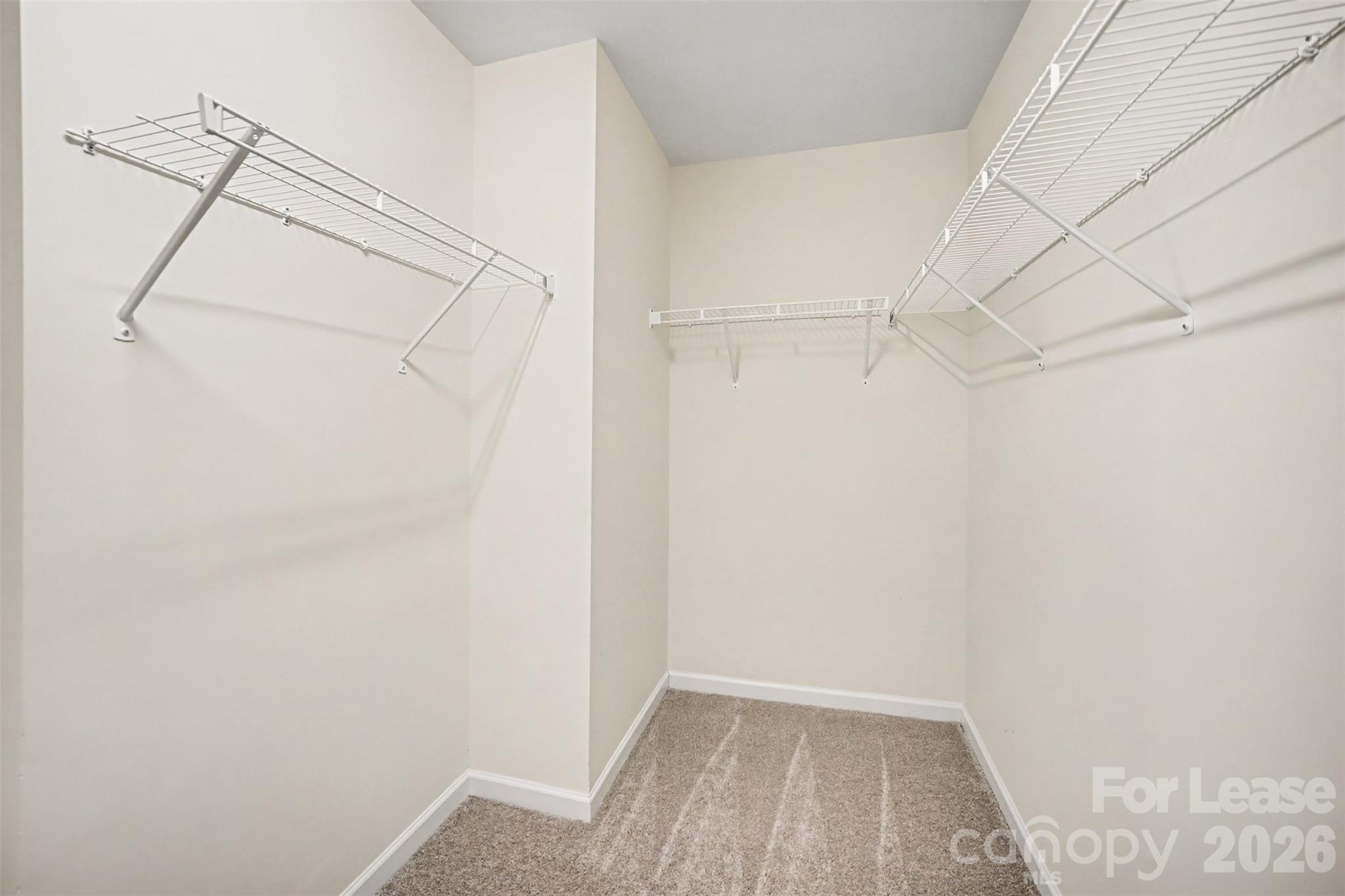 13809 Singleleaf Lane Property Photo 16
