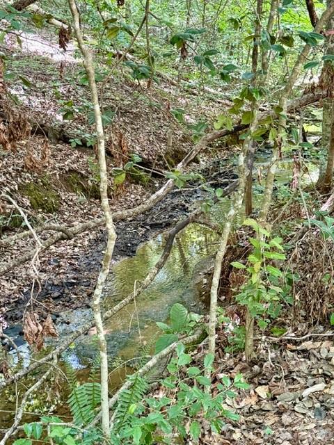 584 Groves Road Property Photo 21