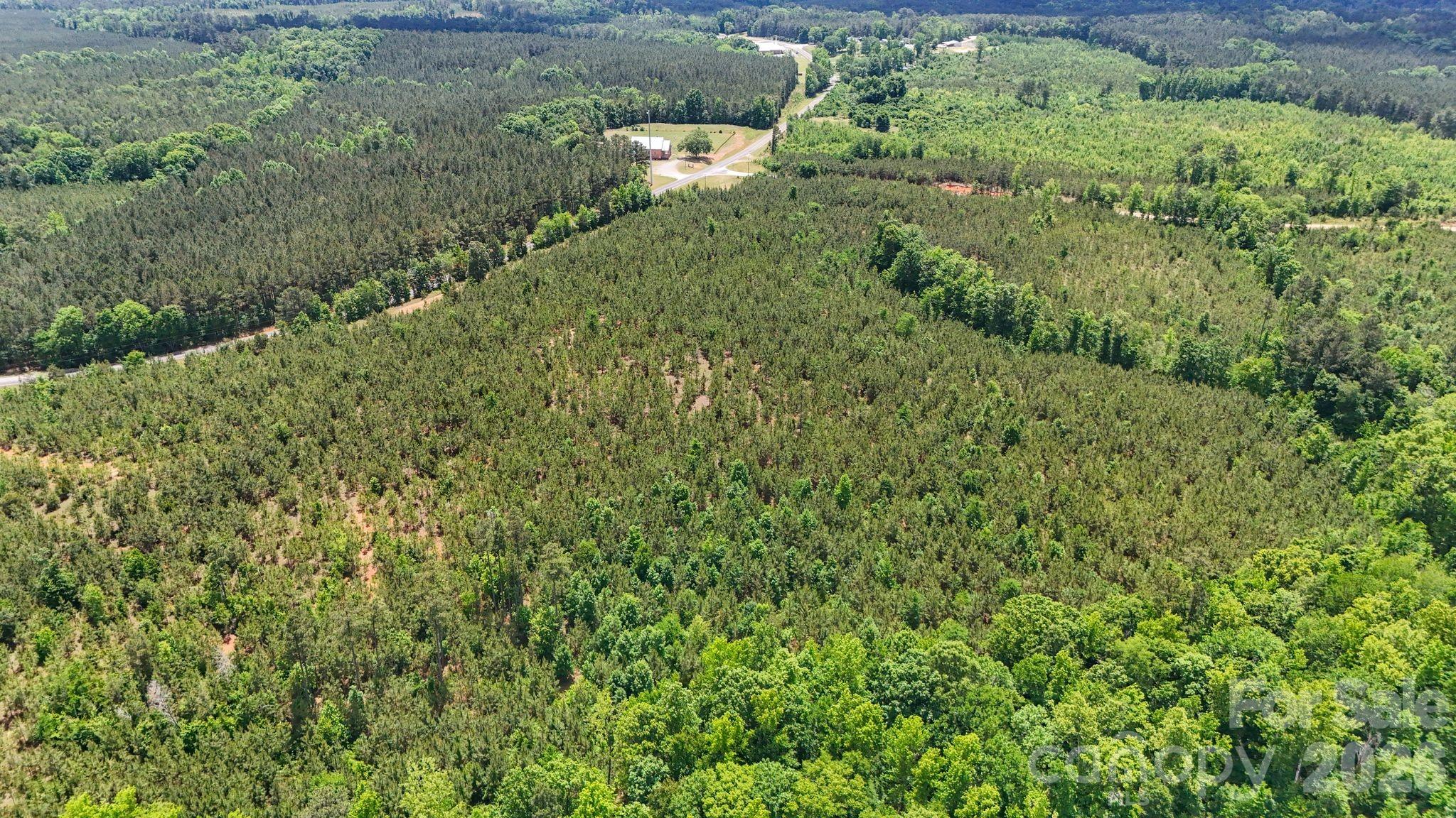 0000 Cool Branch Road 3 Property Photo 4