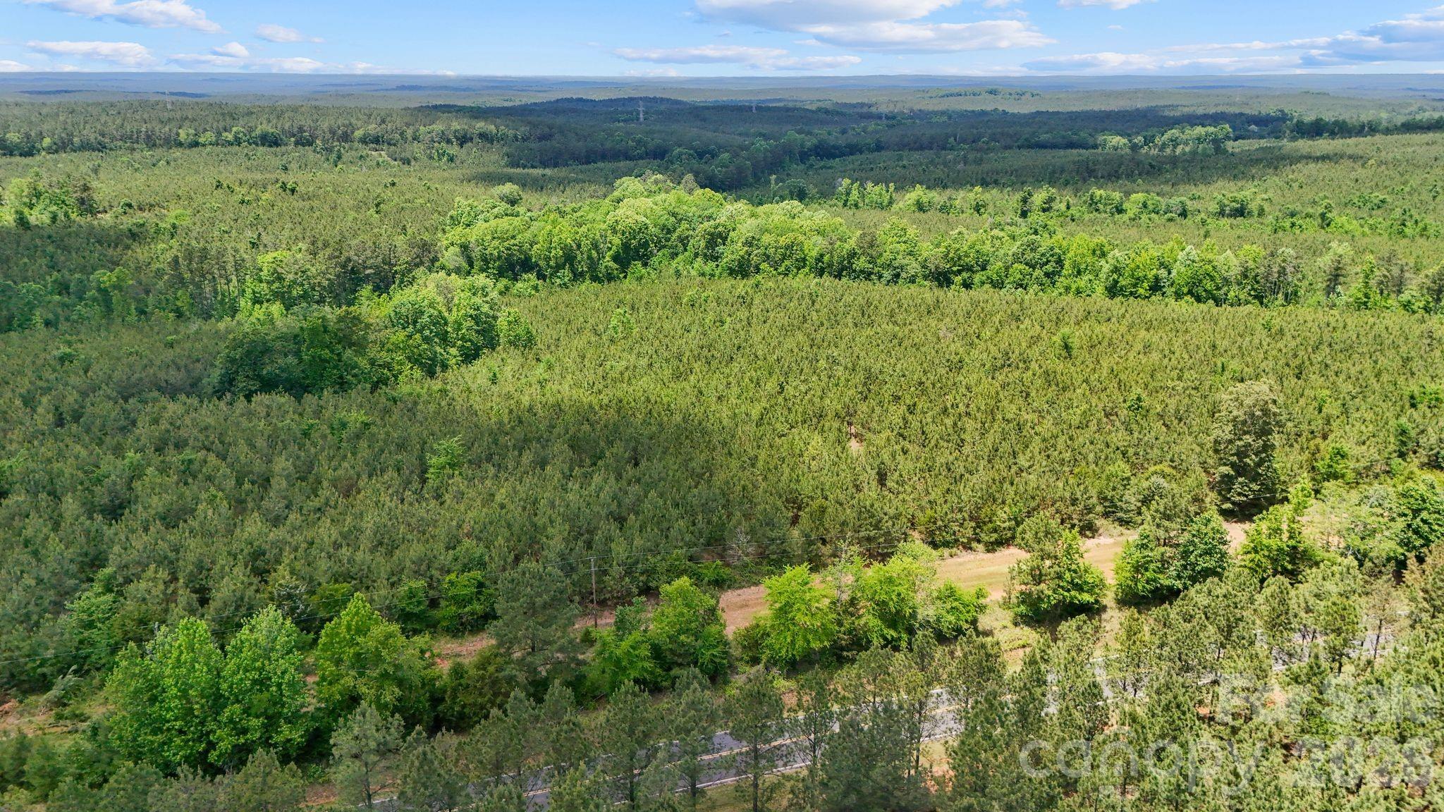 0000 Cool Branch Road 3 Property Photo 13